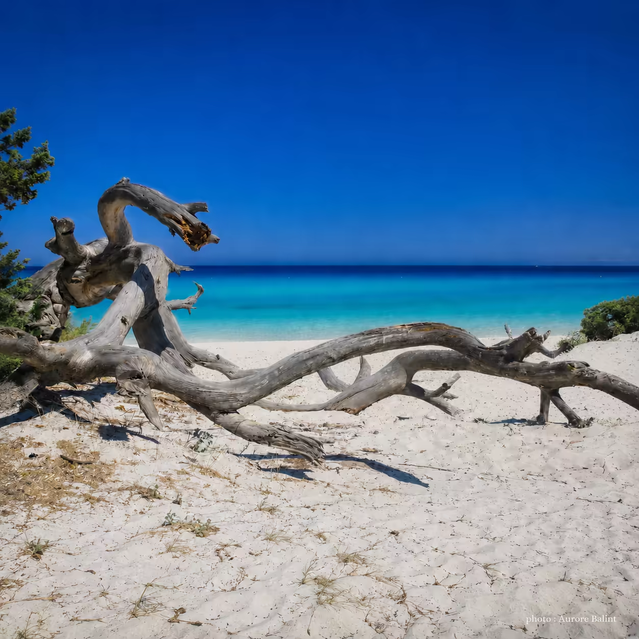 Paysage sauvage du désert des Agriates en Corse